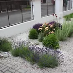 Dream Frantiskovy Lazne
