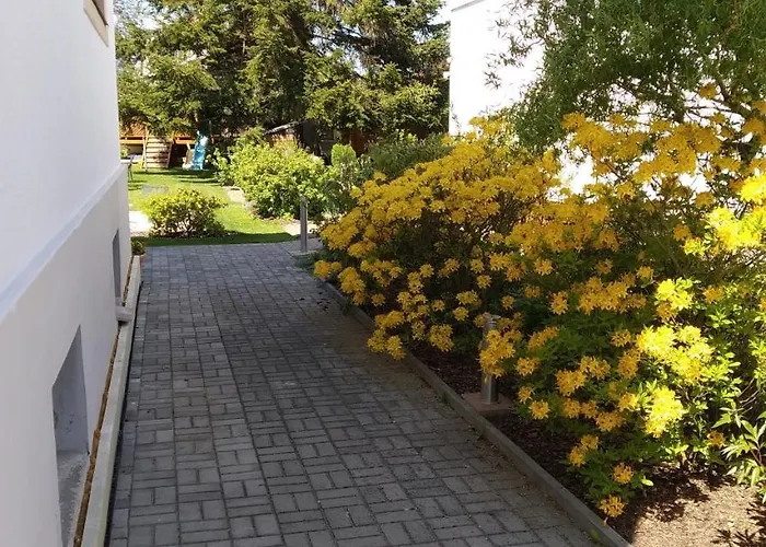 Apartmán Dream Františkovy Lázně